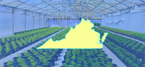 photo of Virginia Lawmakers Reject Governor’s Amended Cannabis Sales Proposal image