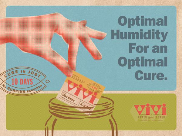 Boveda Unveils Vivi, Debuts Flagship…