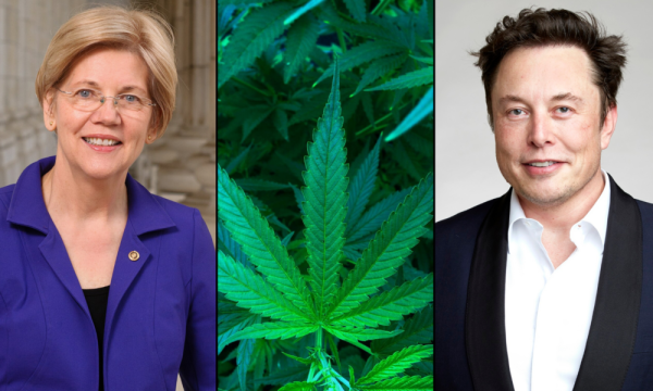 photo of Elizabeth Warren Pushes Elon Musk To Cut Federal Marijuana Enforcement Through New DOGE Agency image