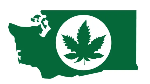 Washington Cannabis Regulators Reject…