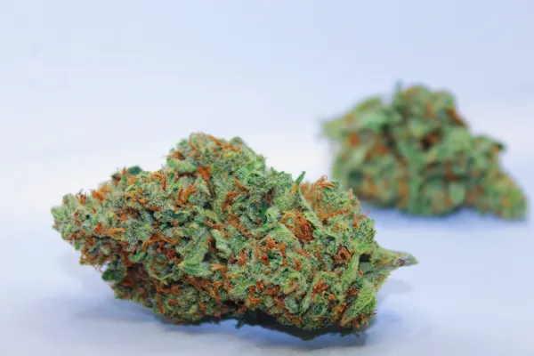 Review Finds Marijuana and Cannabinoids…