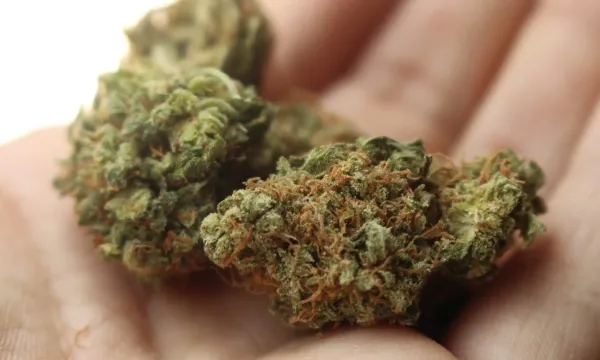 DEA Says Hemp Company Can’t Challenge…
