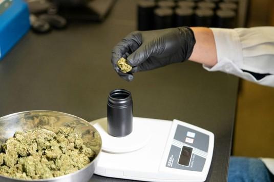 How Many Bowls Is an Eighth? Turning NJ&hellip;