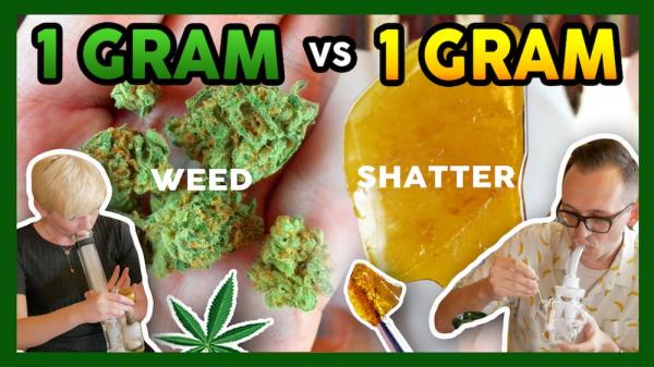 photo of Weed YouTubers Speak Out After Having Their Channels Deleted image