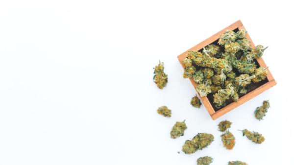 Week in Weed – May 3, 2025