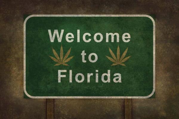 photo of New Florida cannabis market projections show massive recreational potential image