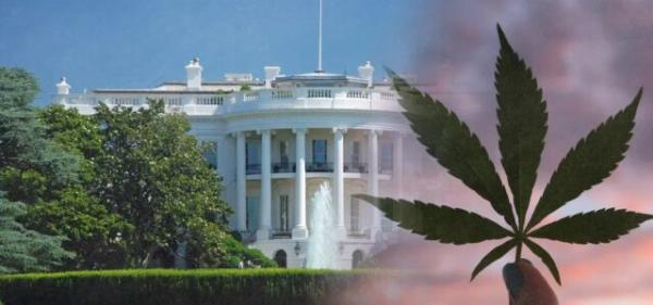 Letter to Trump Calls for Ending Federal…