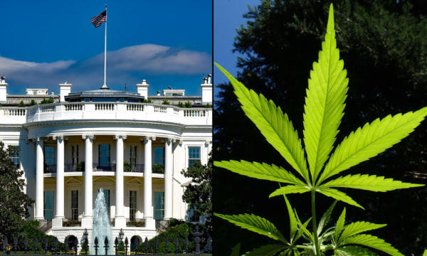 photo of White House Again Touts Biden-Harris Marijuana Actions, But With Less Lofty Rhetoric In Light Of Rescheduling Delay image