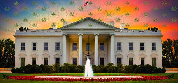 Trump Admin Asks Congress to Regulate&hellip;