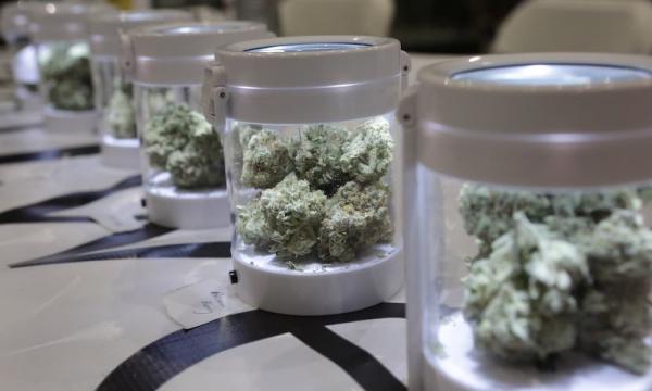 photo of Winners of the 2018 Amsterdam Cannabis Cup image