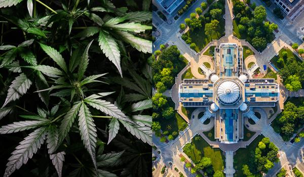 Wisconsin Cannabis Legalization Hopes…