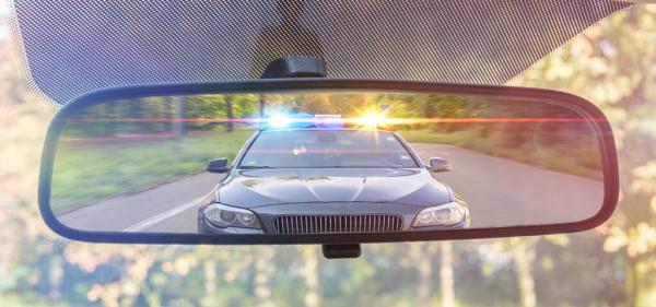 Florida Court Says Cannabis Odor Not…