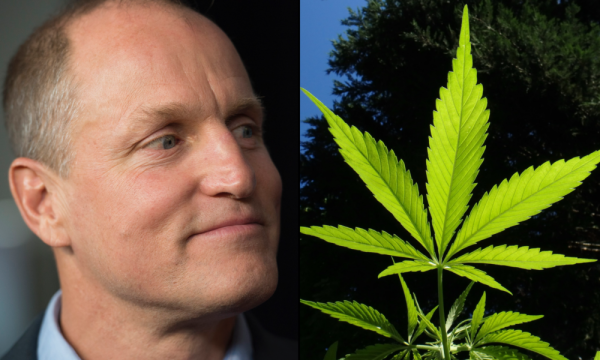 photo of Woody Harrelson Pushes California Governor To Sign Cannabis Cafe Bill So That Dispensaries Like The One He Owns Can… image