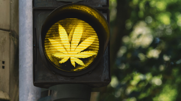 NORML Op-Ed: Reclassifying Medical&hellip;