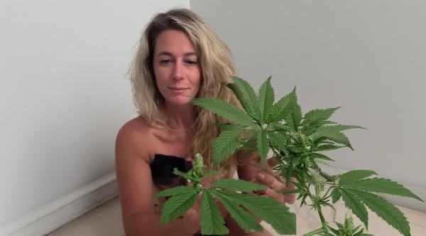 Integrate mindfulness into your daily&hellip;