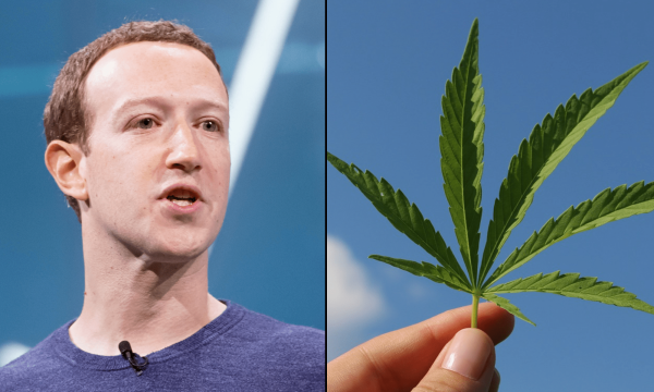 Facebook And Instagram Seem To Have…